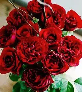 Bouquet Long Stem Roses