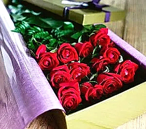 Long Stem Roses in a Box