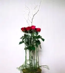 Modern Long Stem Roses in a Vase