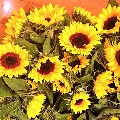 Sunflower Bouquet