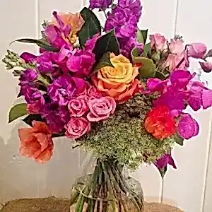 Vibrance